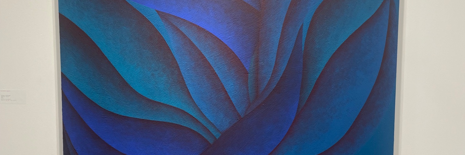 MimsSaeeda's profile banner image
