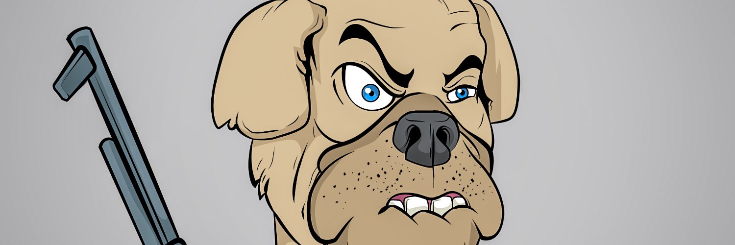 Junioradibdasilva banner