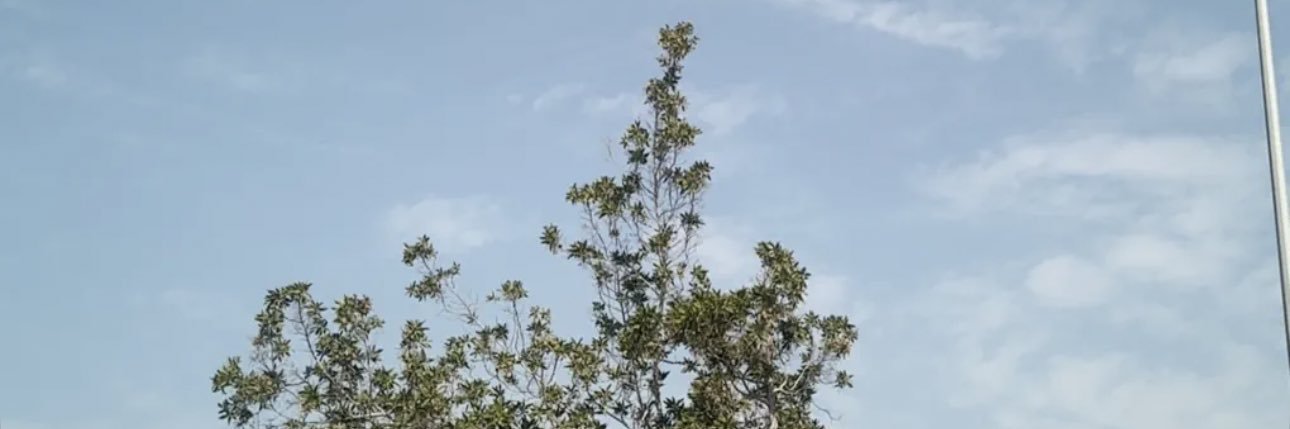 m9las's profile banner image