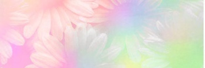 MsMB92's profile banner image