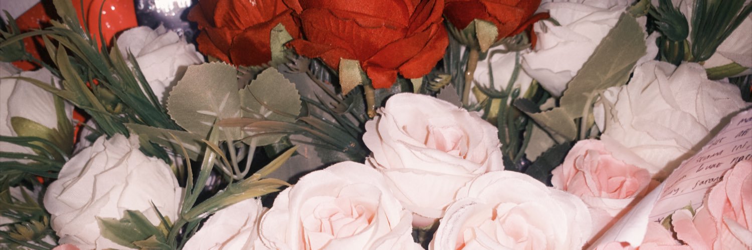orellieap's profile banner image