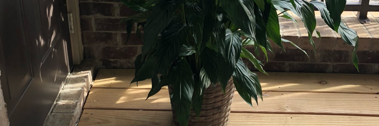 aqueen2king's profile banner image