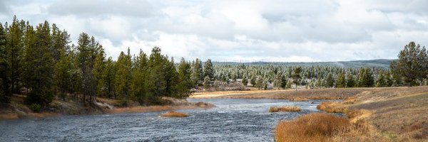 KaijieZhu07 Profile Banner