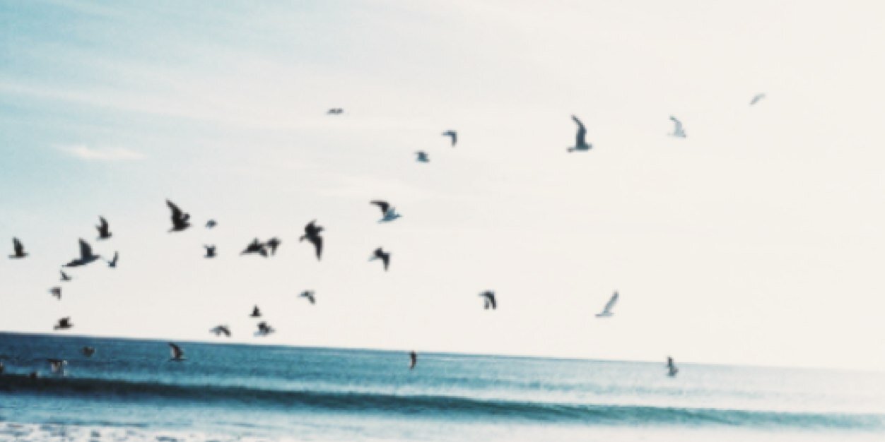 HMaiaMitchell's profile banner image