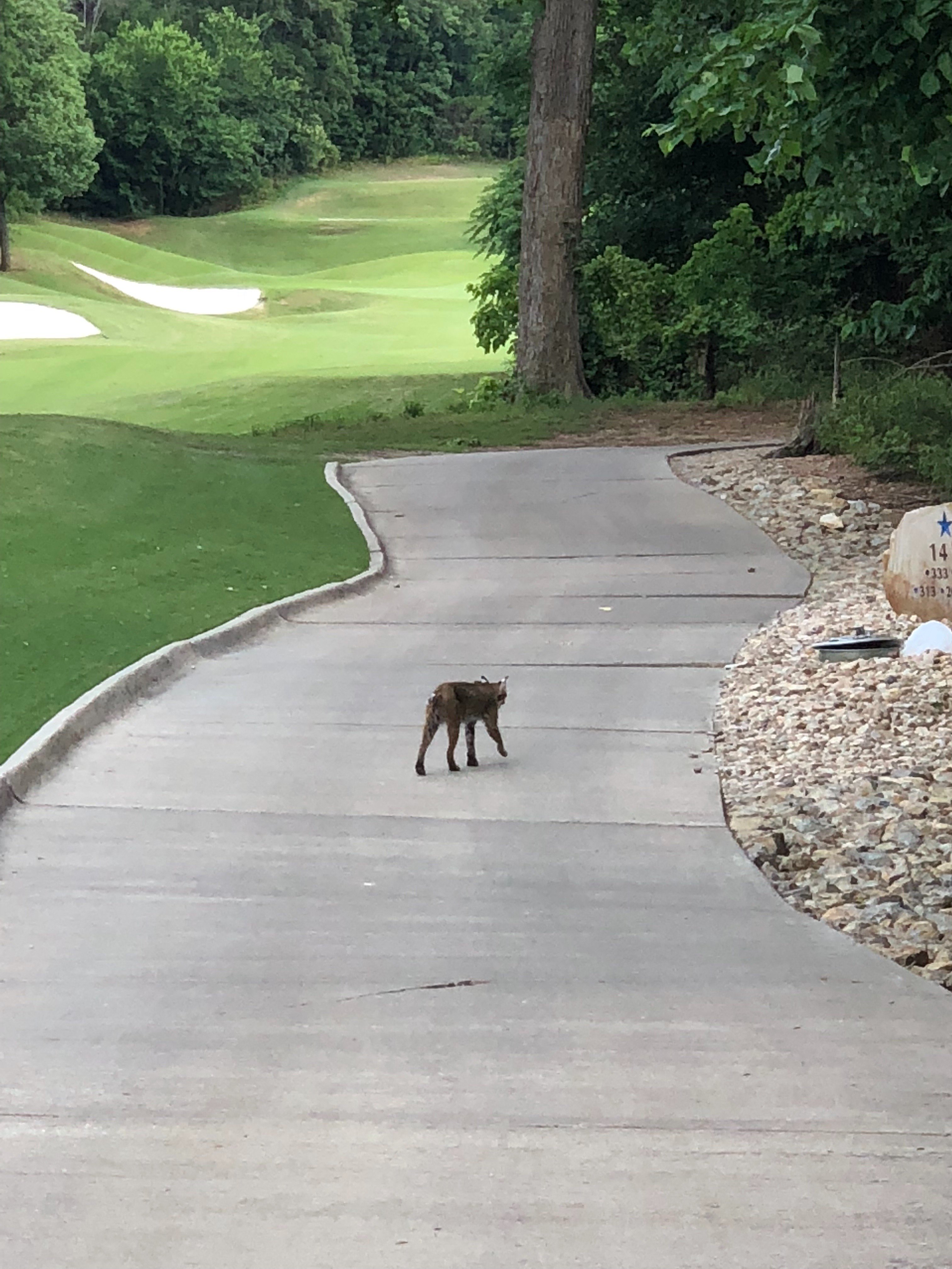 ddgolf2day's profile banner image