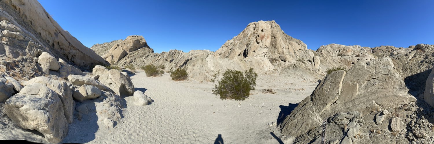 day meadow 🥸🥳🧐 banner