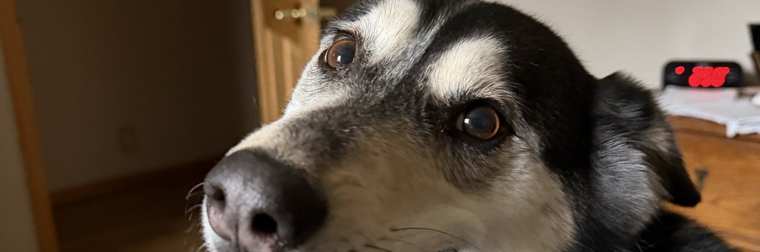 BeckerMolly's profile banner image