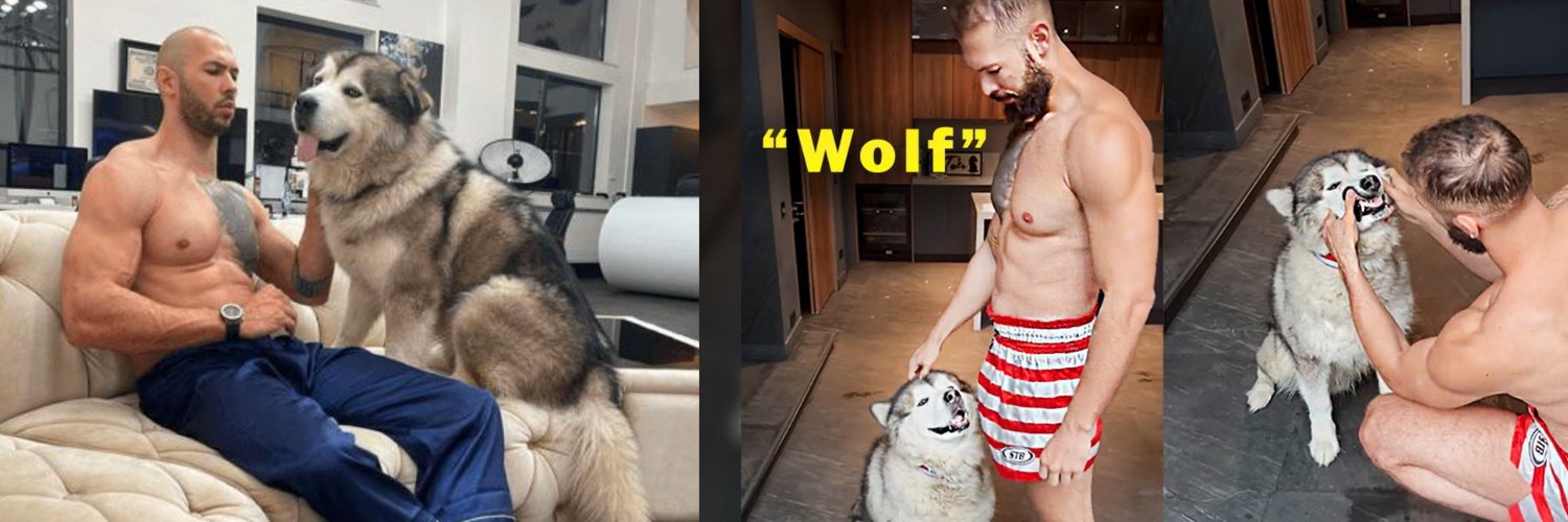 Apollo - Tate's Dog banner