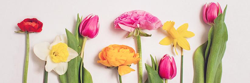 jennlimelight's profile banner image