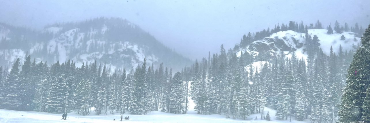 caitshive's profile banner image