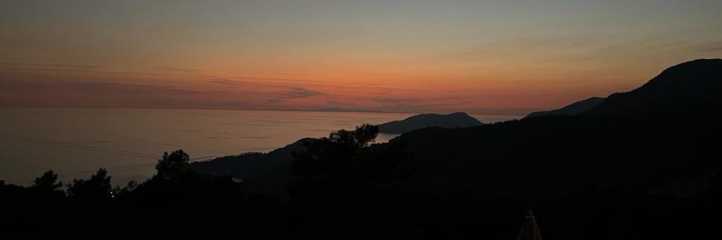 Murat Sarı banner