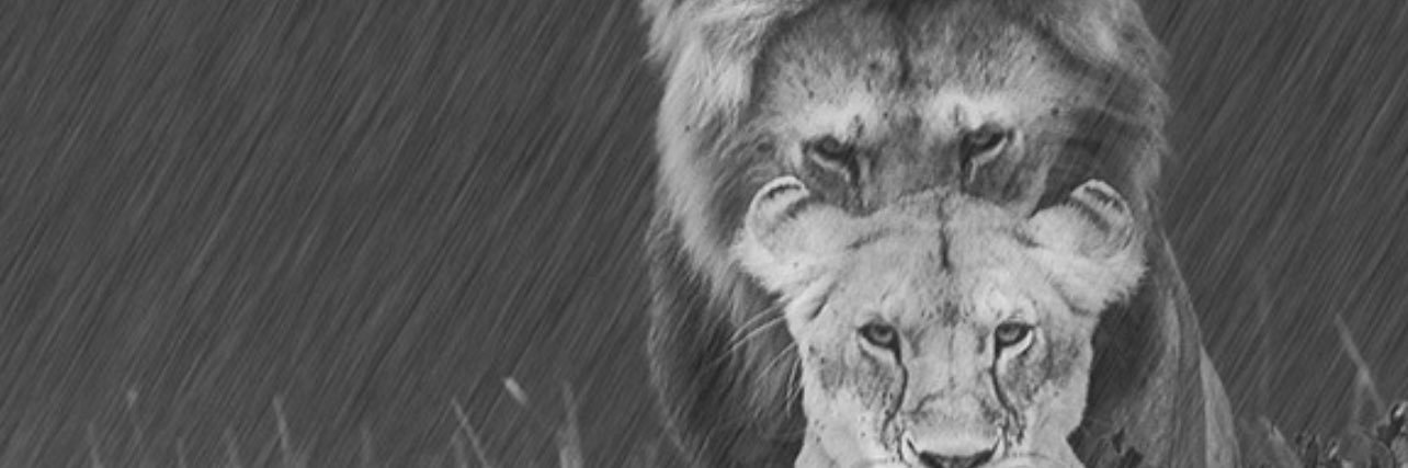 TonyThaDon's profile banner image