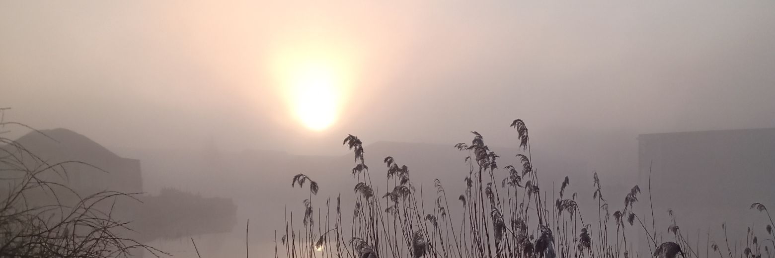 Angela Erkelens - Koopman banner