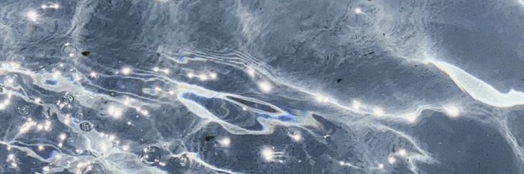 ₍ᐢ.ˬ.ᐢ₎ banner