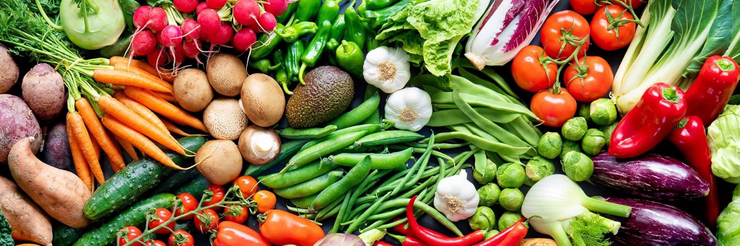 Qualiseed 🍅 🧅 🫑 🌽 🌾 banner