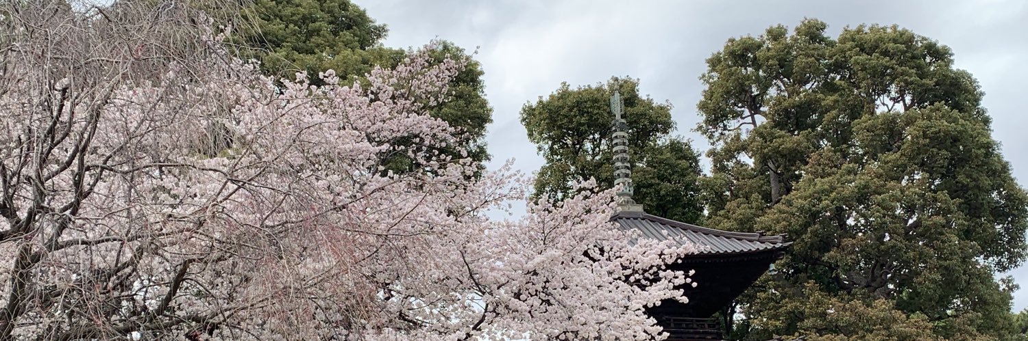 月に映る山桜's banner
