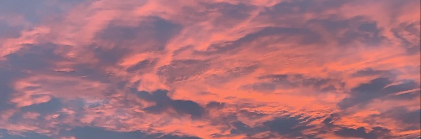 TaylorTorrisi's profile banner image
