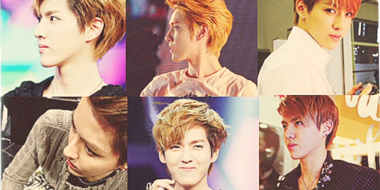 nomkris's profile banner image