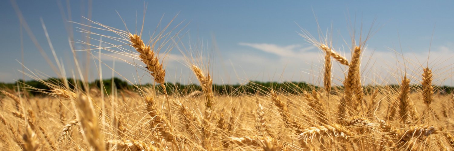Kansas Dad 🇺🇸 banner