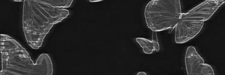 little gurl banner
