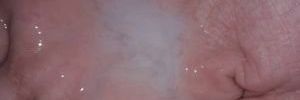 Kittpp4's profile banner image