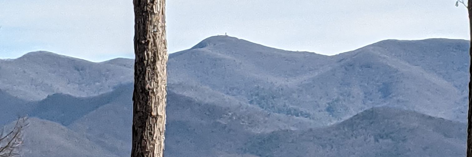 Richard42's banner