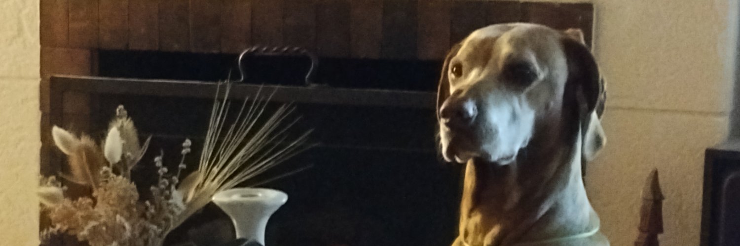 Tebimendel's profile banner image
