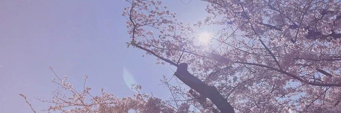 유두 banner