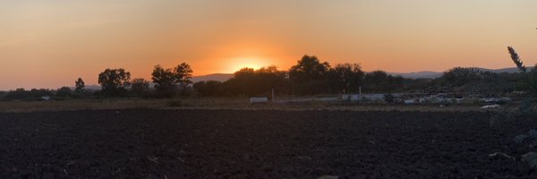 patito68 Profile Banner