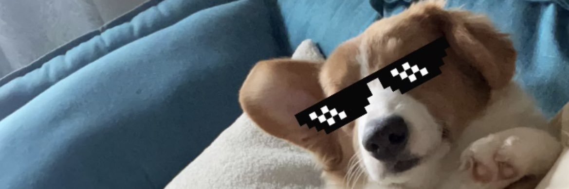 noTORIousYIZ's profile banner image