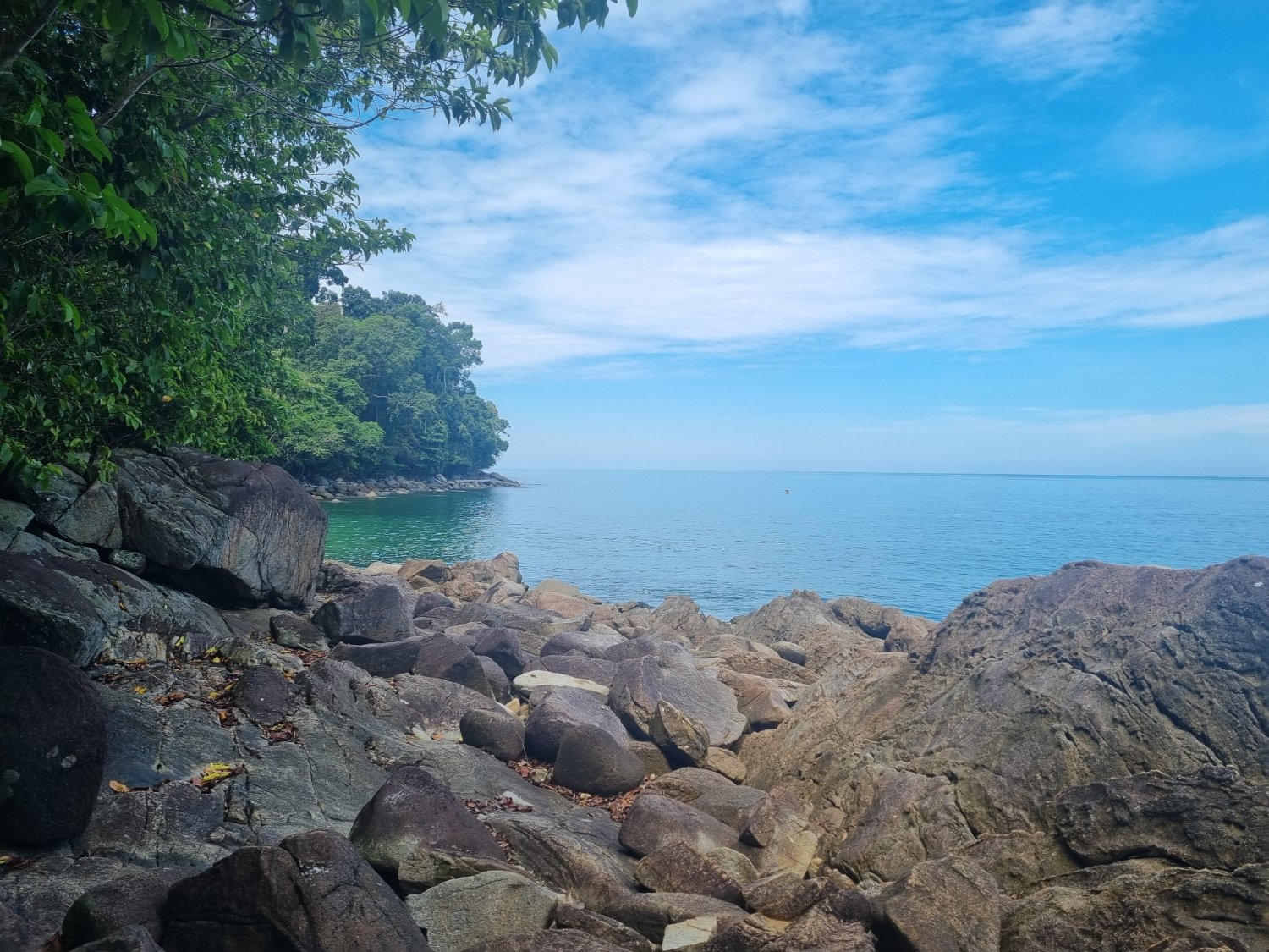 Oliver Bowman banner