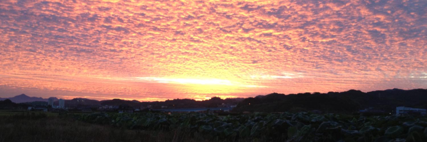 wakarau's profile banner image