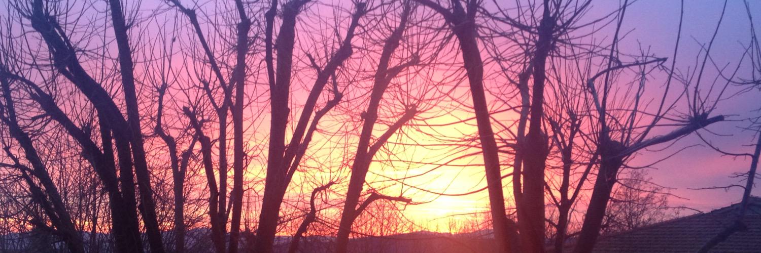 VittekRecords's profile banner image