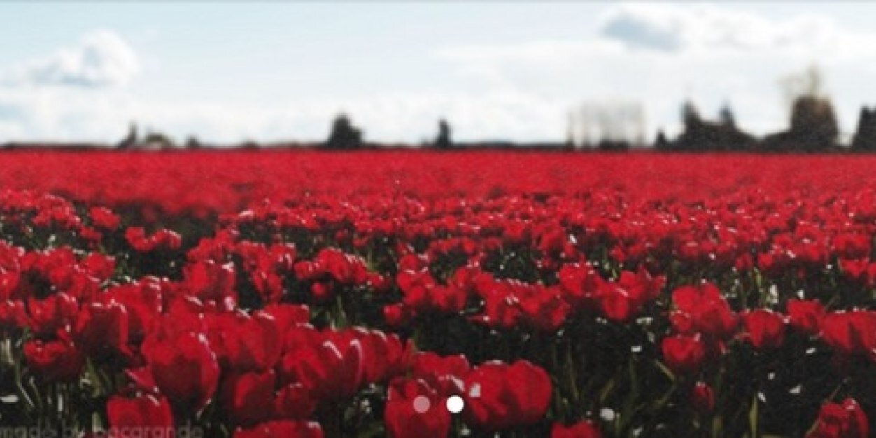 hmalsalem_'s profile banner image