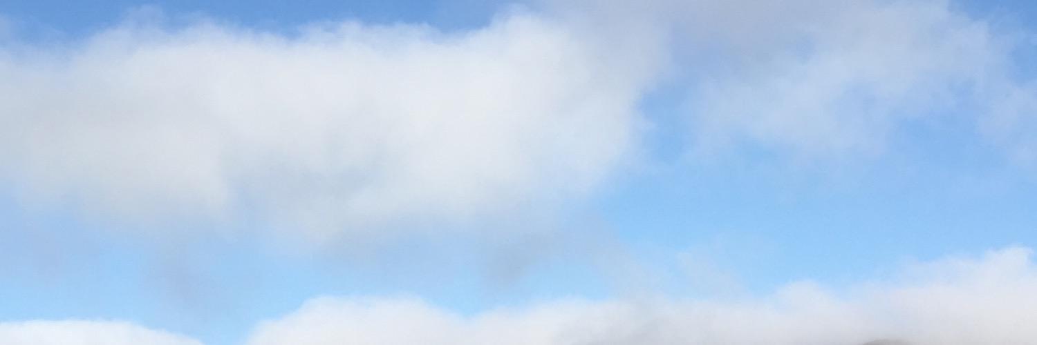 Liz Bearce banner
