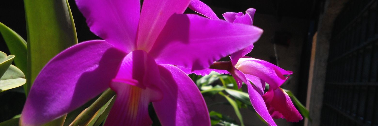 Cozamar83's profile banner image
