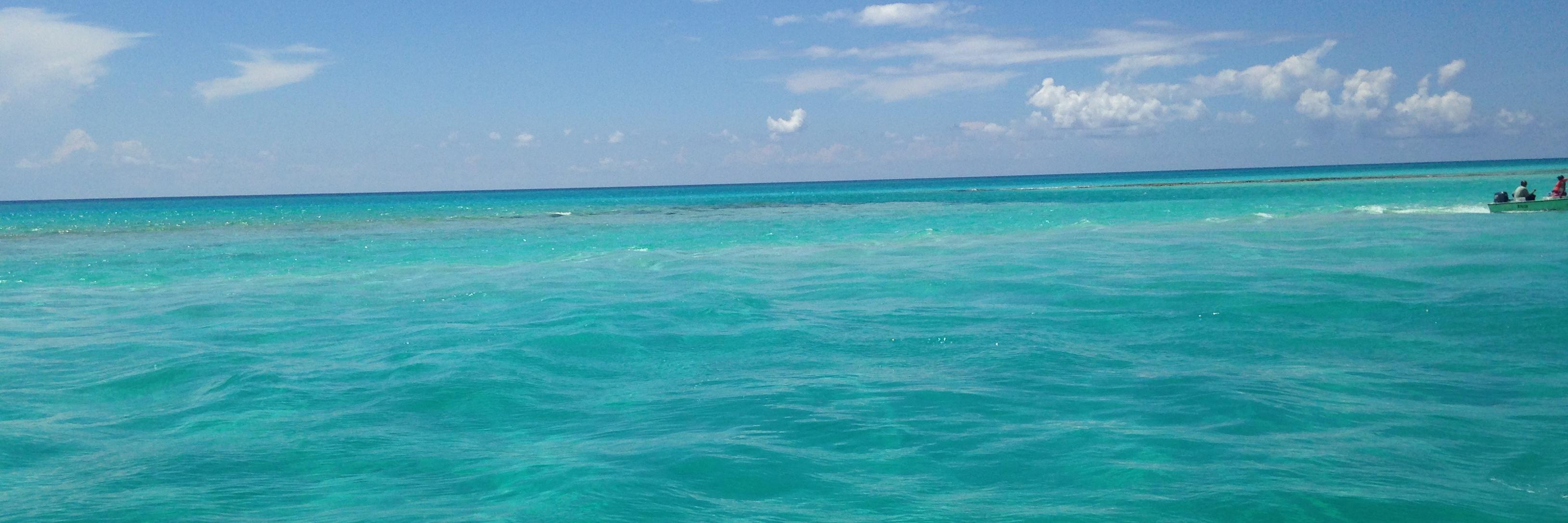 Terranceroberts's profile banner image
