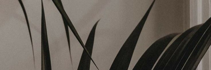 abcdoremifaa's profile banner image