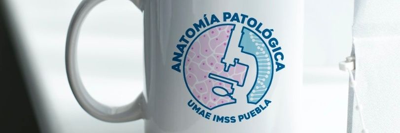 Agiosteos's profile banner image