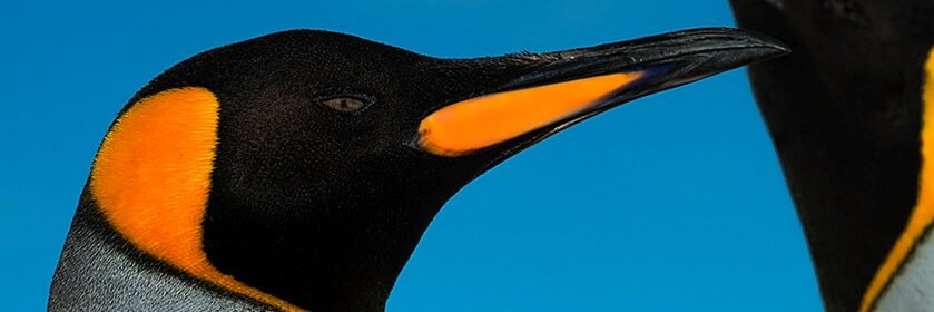 claudioalmarza's profile banner image