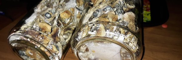 ktilred Profile Banner