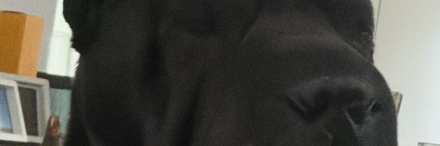 badbanibb's profile banner image