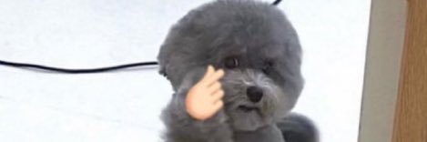 thathoochiemama's profile banner image
