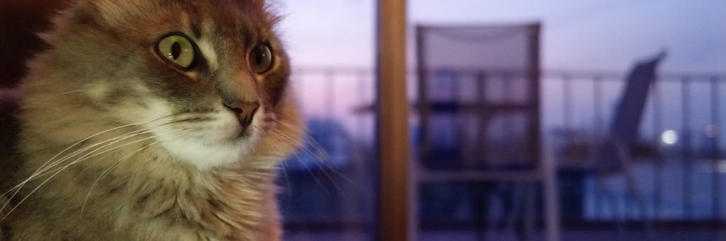 FedGandlf's profile banner image