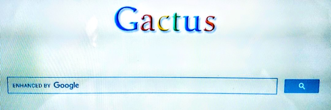 Gactus02's profile banner image