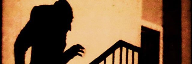 chava_may's profile banner image
