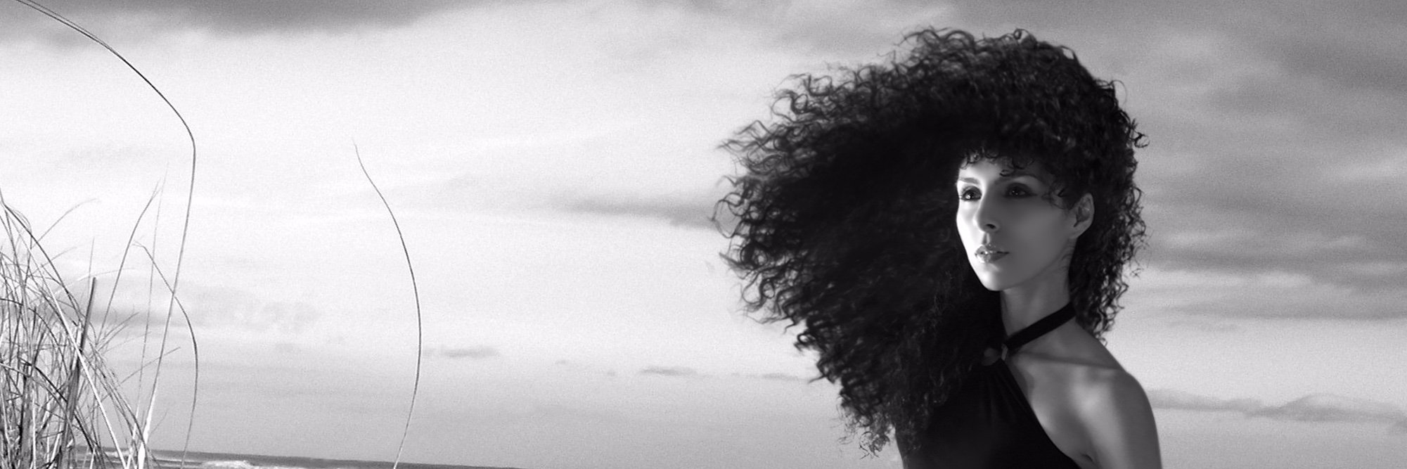 KukuiGo's profile banner image