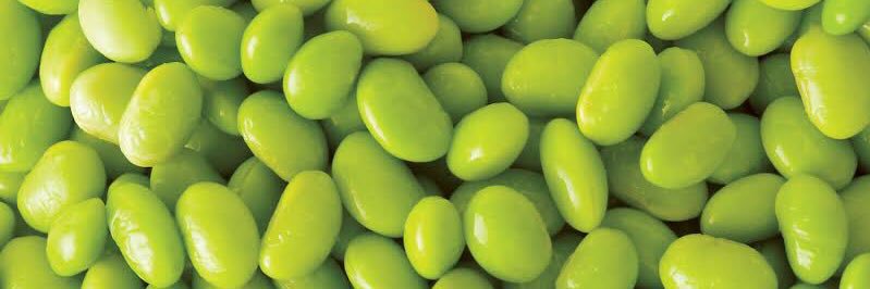 Ed Amame banner