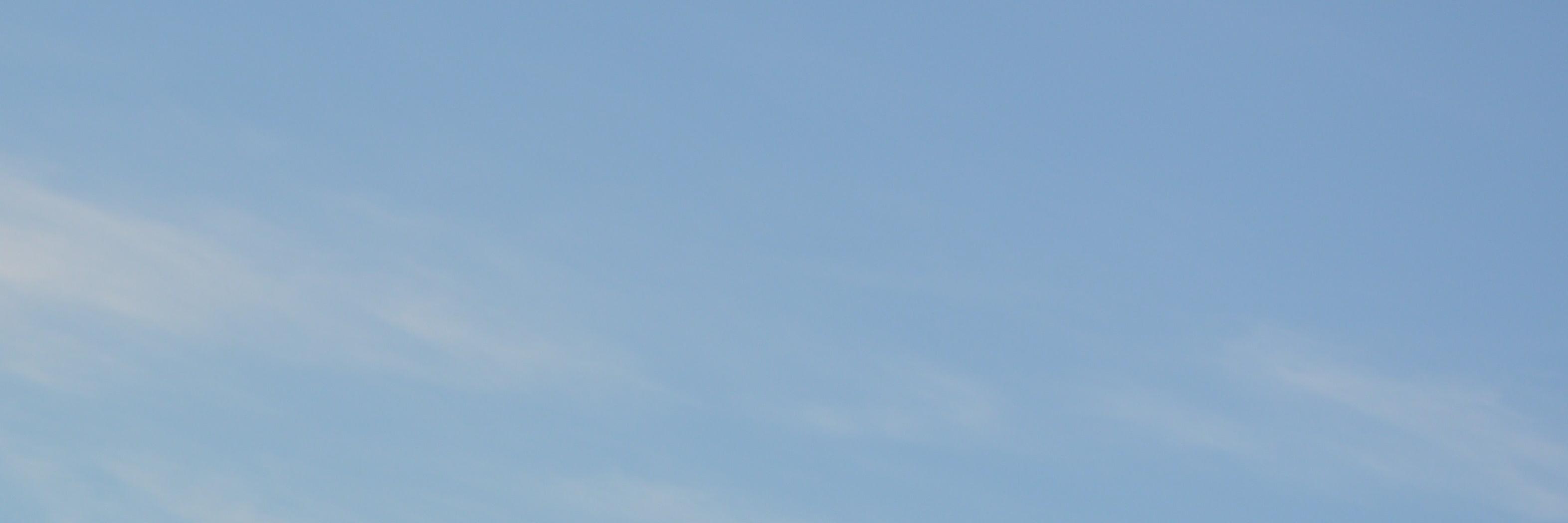 2Liubov's profile banner image