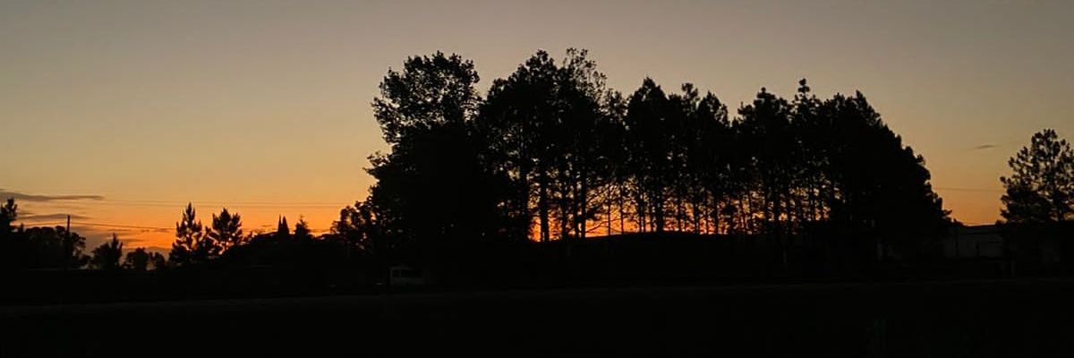 cris_mandarano's profile banner image